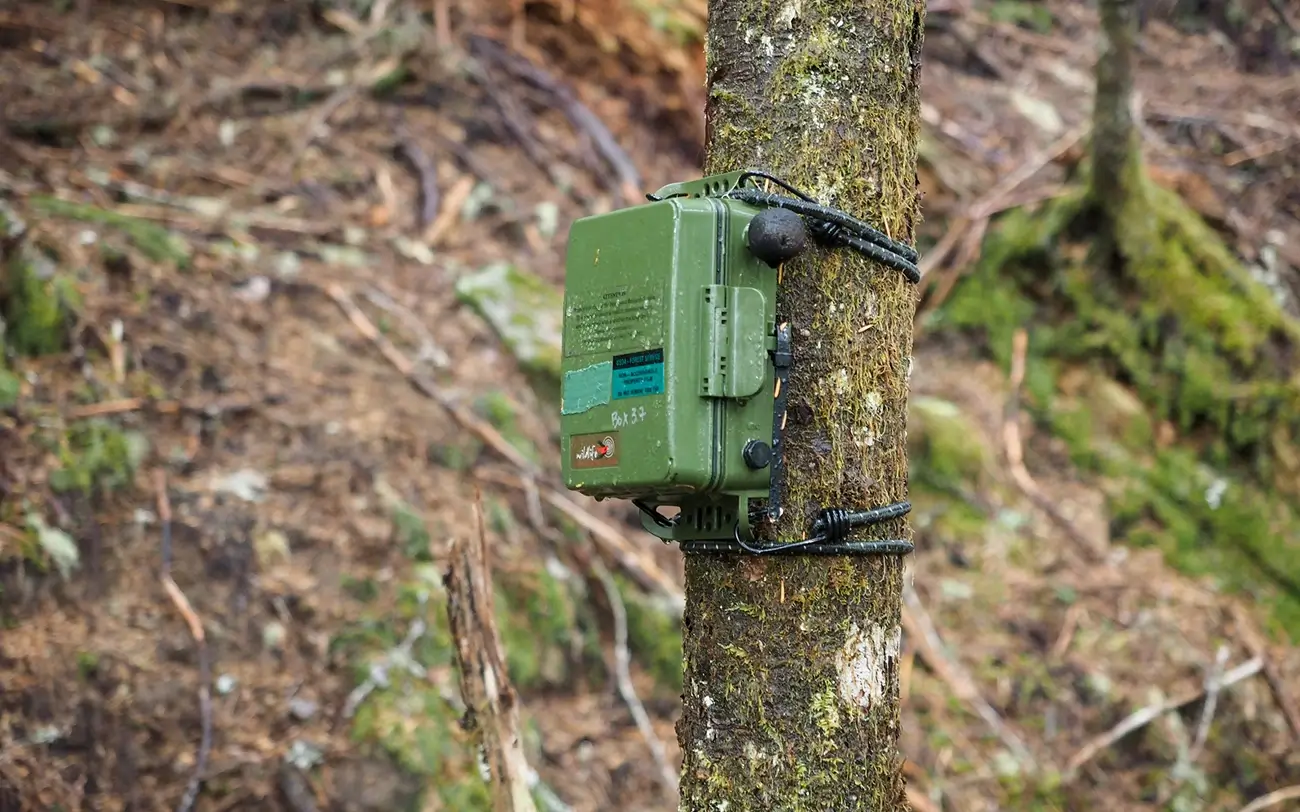 Passive acoustic monitoring device deployed in a forest for wildlife monitoring
